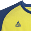 Футболка SELECT Pisa X player shirt s/s Yellow- Blue